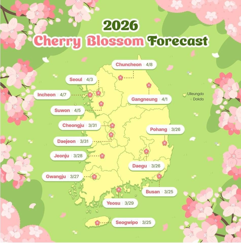 An illustrated map of South Korea showing the official 2026 Cherry Blossom Forecast, including the predicted bloom date for Seoul Cherry Blossom 2026 as April 3rd