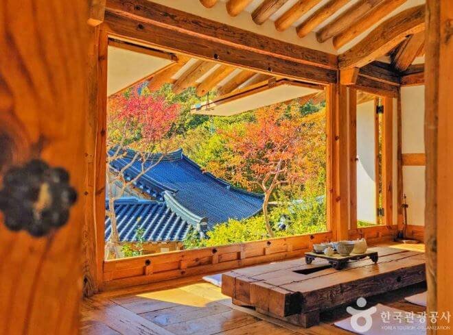 Visitors meditating peacefully at a Buddhist temple during a traditional Korean accommodation experience